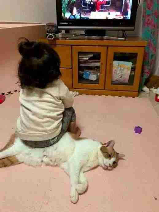 发现一个博主很像日本的某位老师！